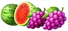 Watermelon and grapes symbol combination